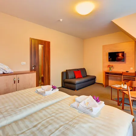 Toc Hotel Lipová-lázně
