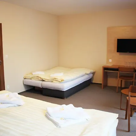 Toč Hotel Lipová-lázně