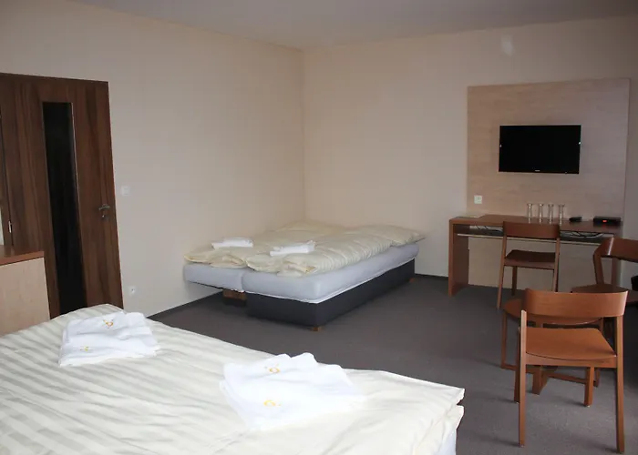 Toč Hotel Lipová-lázně