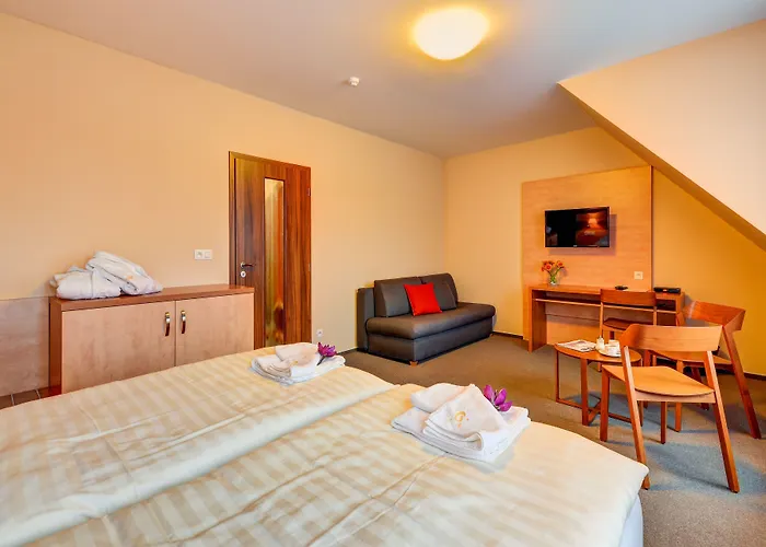 Toč Hotel Lipová-lázně