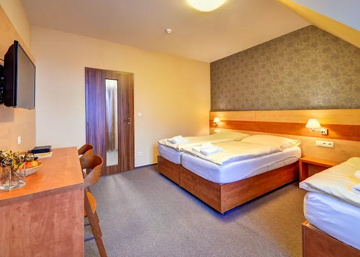 Hotel Toč 3*